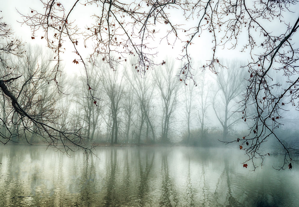 Trauer ohne Text - Wald um See im Nebel