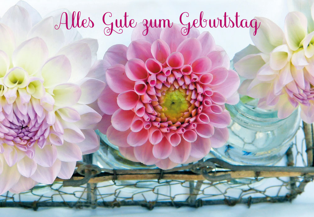 Geburtstag - rosa und weiß Blumen