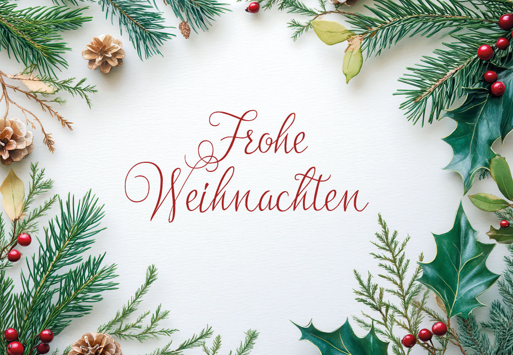 Weihnachten -Umrandung Tannenzweige mit Beeren
