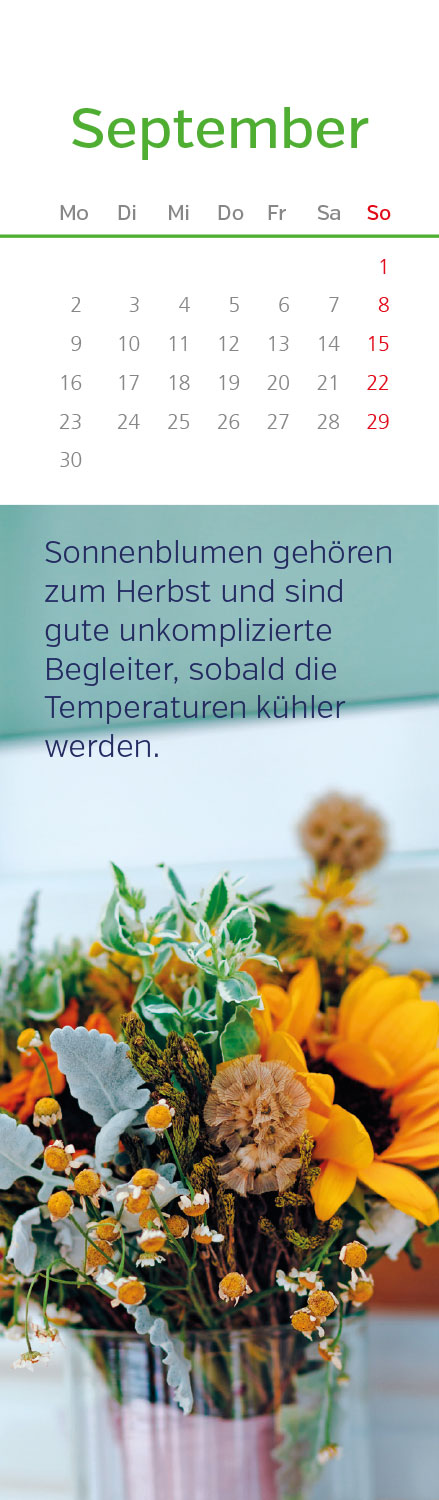 Blumenträume 2024 LZ NEU!!!
