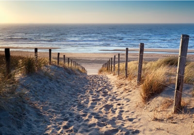 Gute Laune Grüße an den Norden - sandiger Weg zum Strand