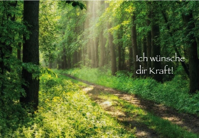 Genesung - lichtdurchfluteter Weg im Wald