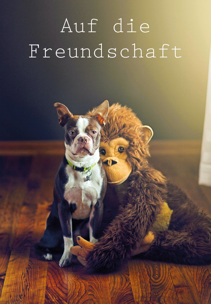 Gute Laune - Hund und Affe