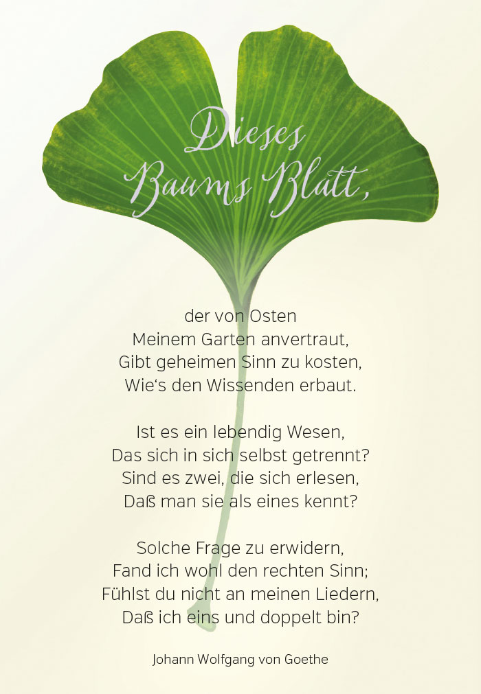 Spruch - Doppelkarte grüner Dinko mit viel Text