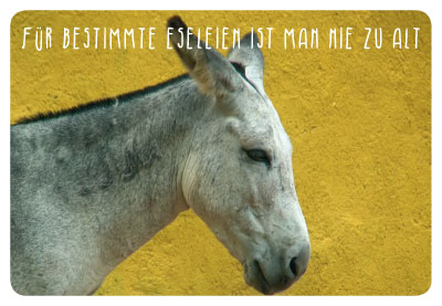 Gute Laune für jede Gelegenheit - Doppelkarte Pferd