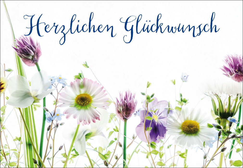 Blumen - feingliedrige lila Blumen