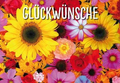 Blumen - gelbe Sonnenblumen und bunt