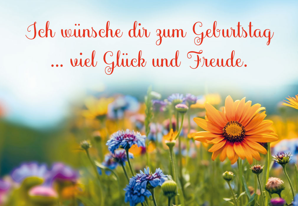 Geburtstag - Blumenwiese von ganz nah