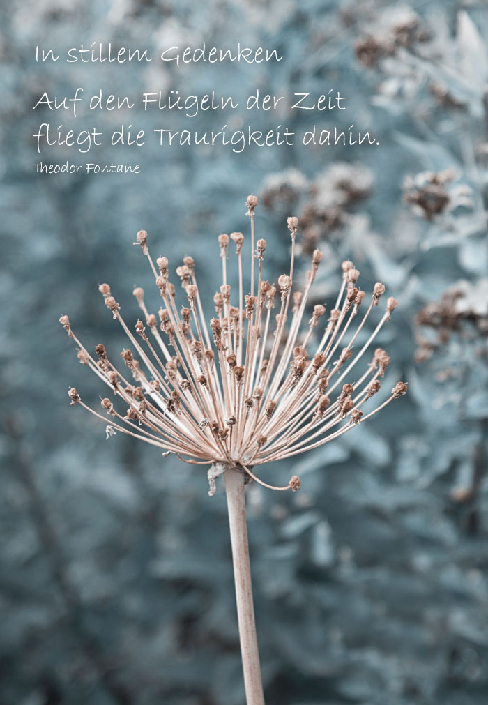 Trauer - Blüten im Sonnenlicht