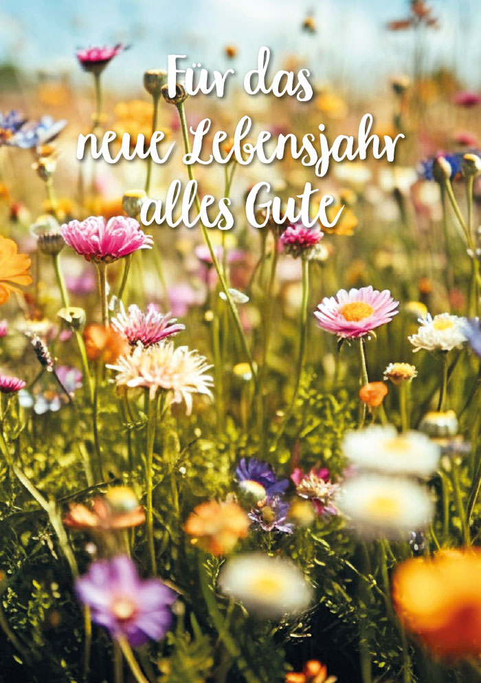 Kleine Kartengrüße -bunte Blumenwiese