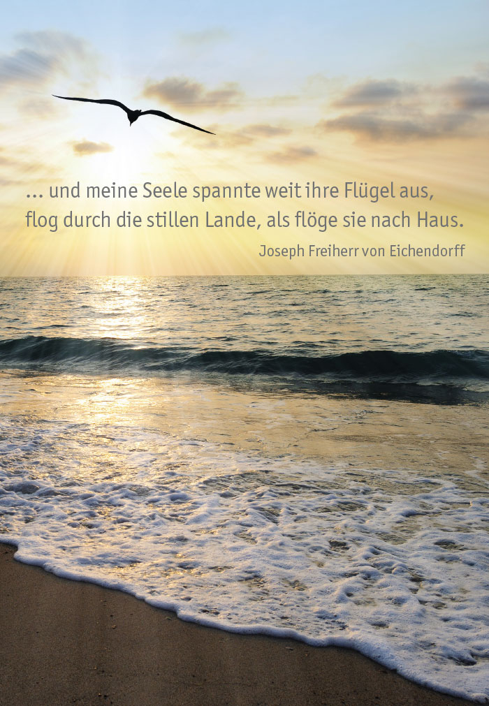 Trauer  -Meer, Strand, Möwe