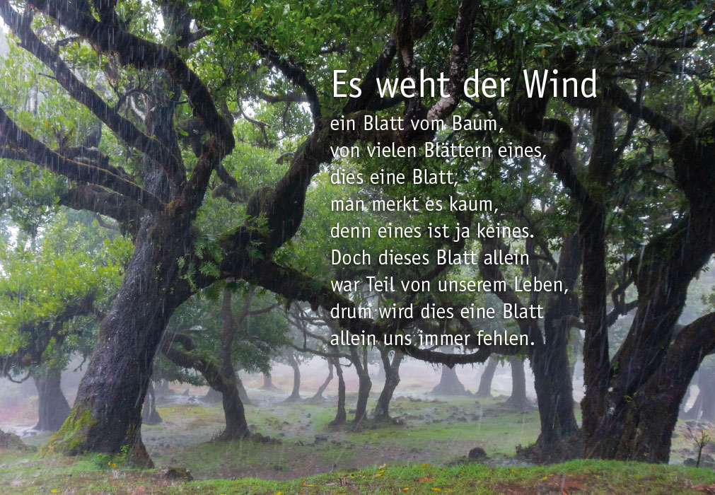 Trauer - Wald