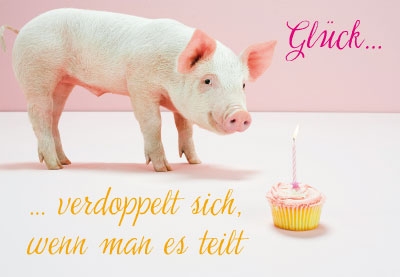 Tierisch gute Laune - Schwein und Kuchen