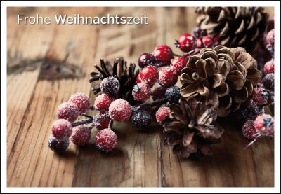 Weihnachten - Doppelkarte Beeren