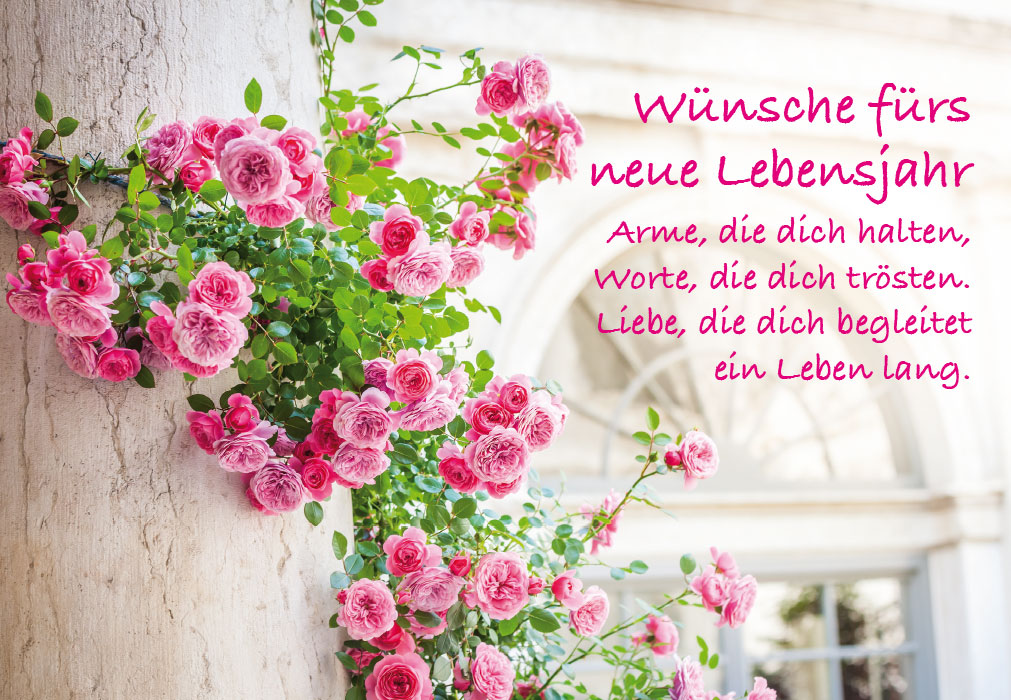 Geburtstag - rosa Blumen an Hauswand