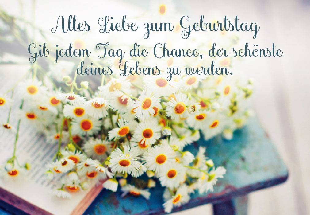 Geburtstag - frische Gänseblümchen auf Büchern