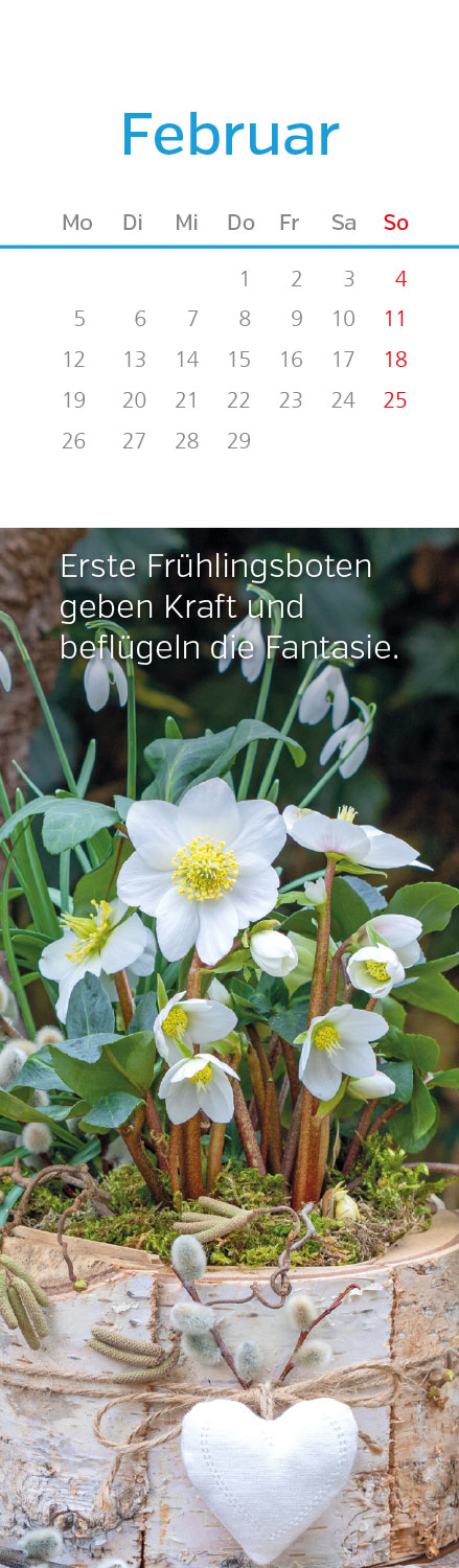 Gute Laune Kalender 2024 LZ NEU!!! 