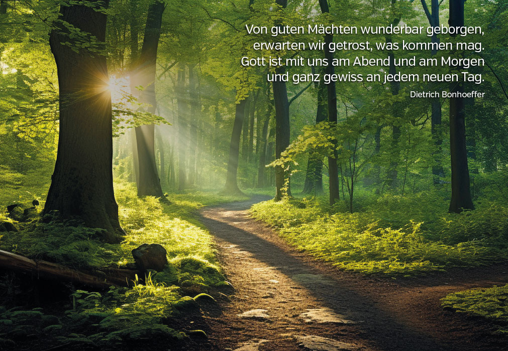 Gedanken - Sonnenstrahlen im dunklen Wald