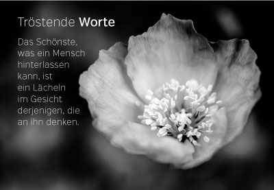 Trauer - Bl?te in grau