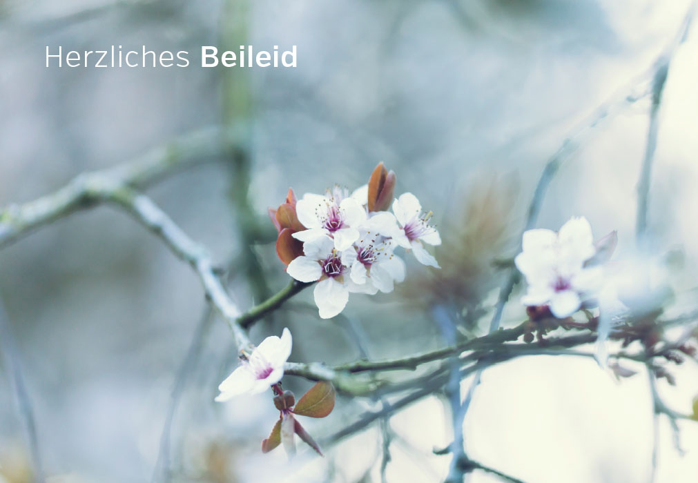 Trauer - bl?hender Zweig
