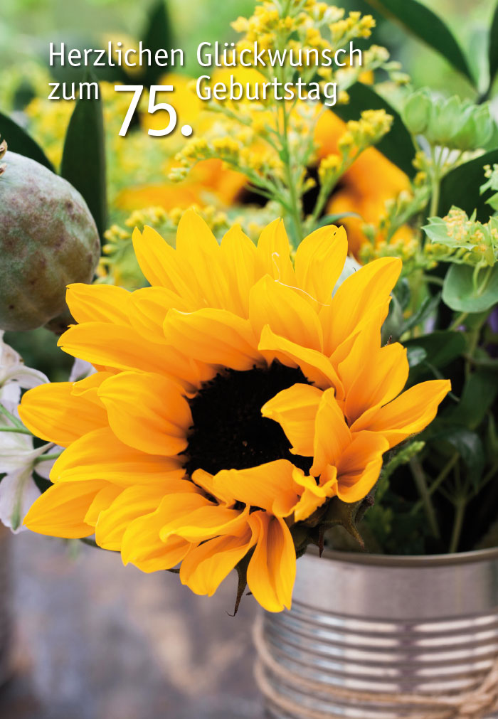 Zahlengeburtstag - gelbe Sonnenblume im Topf