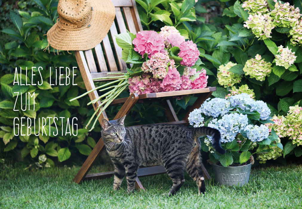 Geburtstag - Strohhut, Stuhl, Blumen, Garten