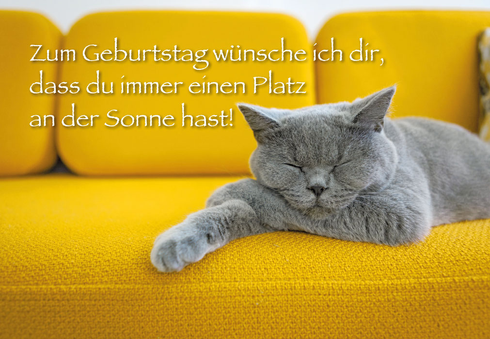 Geburtstag - wunderschöne Katze auf gelber Couch