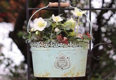 Vorweihnachtszeit - Topf mit Blumen 