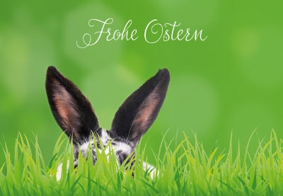 Ostern - Osterhase im Gras