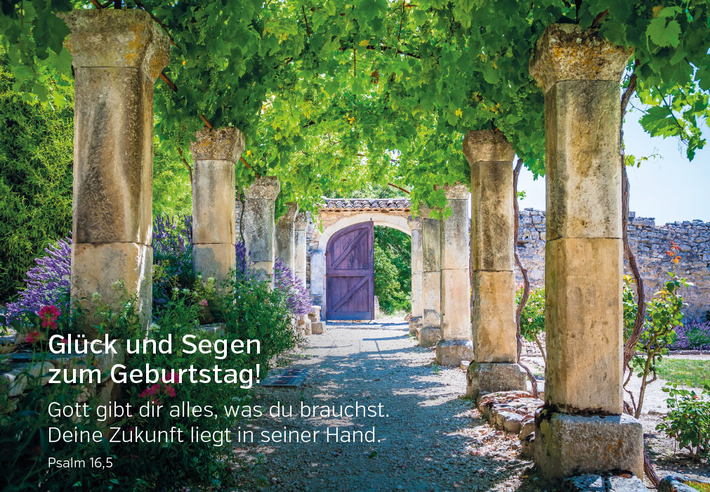 Geburtstag - alte Säulen, Tor und wilder Wein
