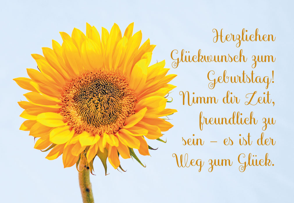 Geburtstag - schöne, gelbe Sonnenblume