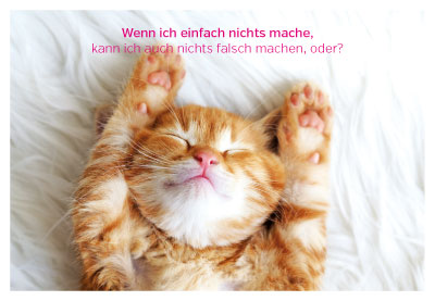 Gute Laune für jede Gelegenheit - sich streckende Katze