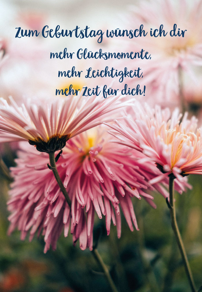 Geburtstag - rosa Dahlien im Licht