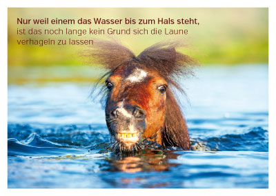 Postkarte - schwimmendes Pferd