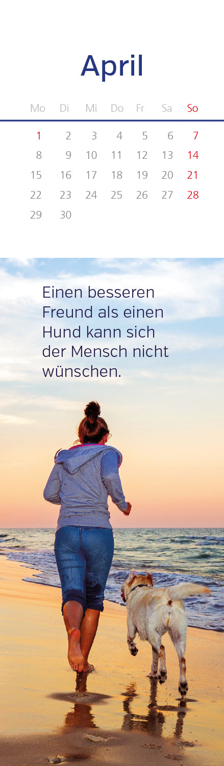 Mit Freude durch das Jahr 2024 LZ NEU!!!