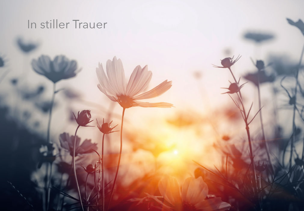 Trauer - Sonnenuntergang, Blumenwiese