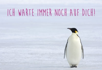 Gute Laune f?r jede Gelegenheit - Pinguin im Schnee