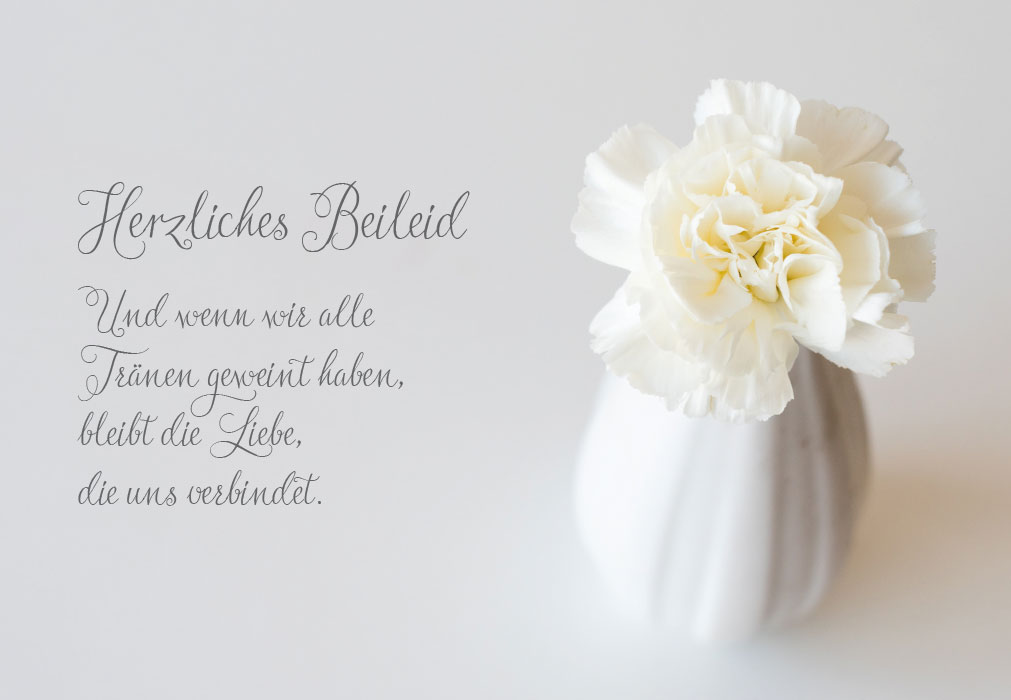Trauer - weiße Blume in Vase