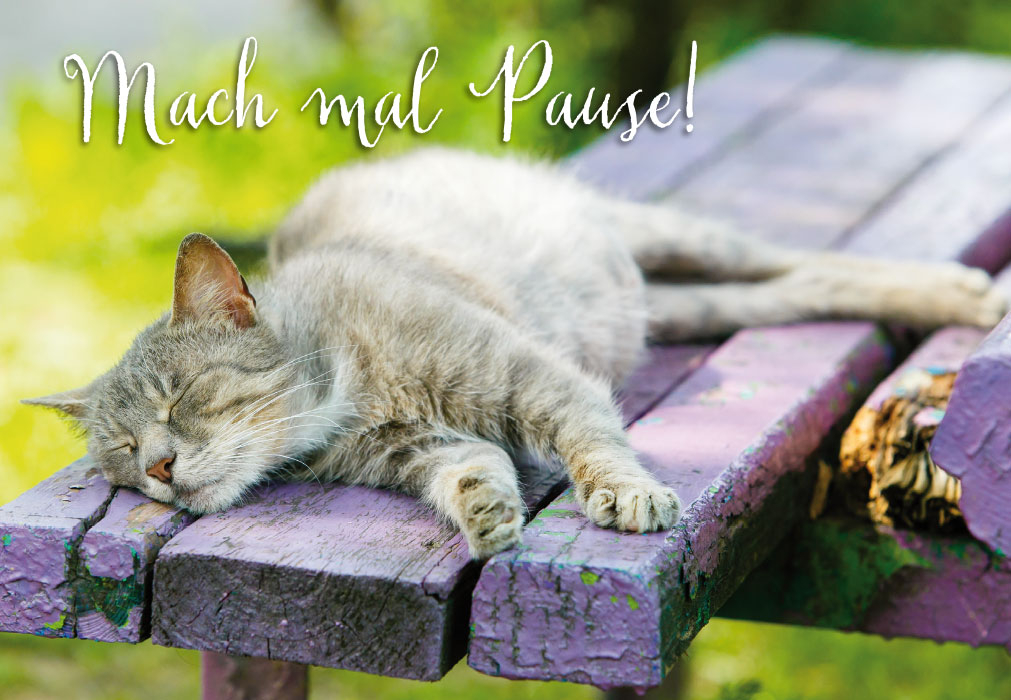 Gute Laune Grüße für alle Lebenslagen - schlafende Katze auf Bank