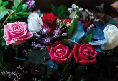 Blumen - rote und rosa Rosen in einem Bouquet