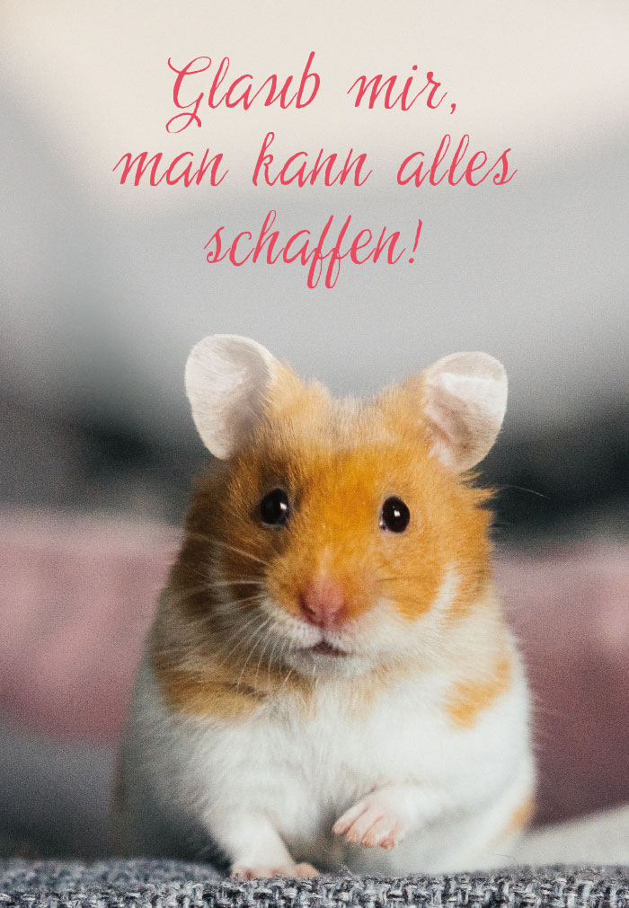 Gute Laune - Hamster am Rand