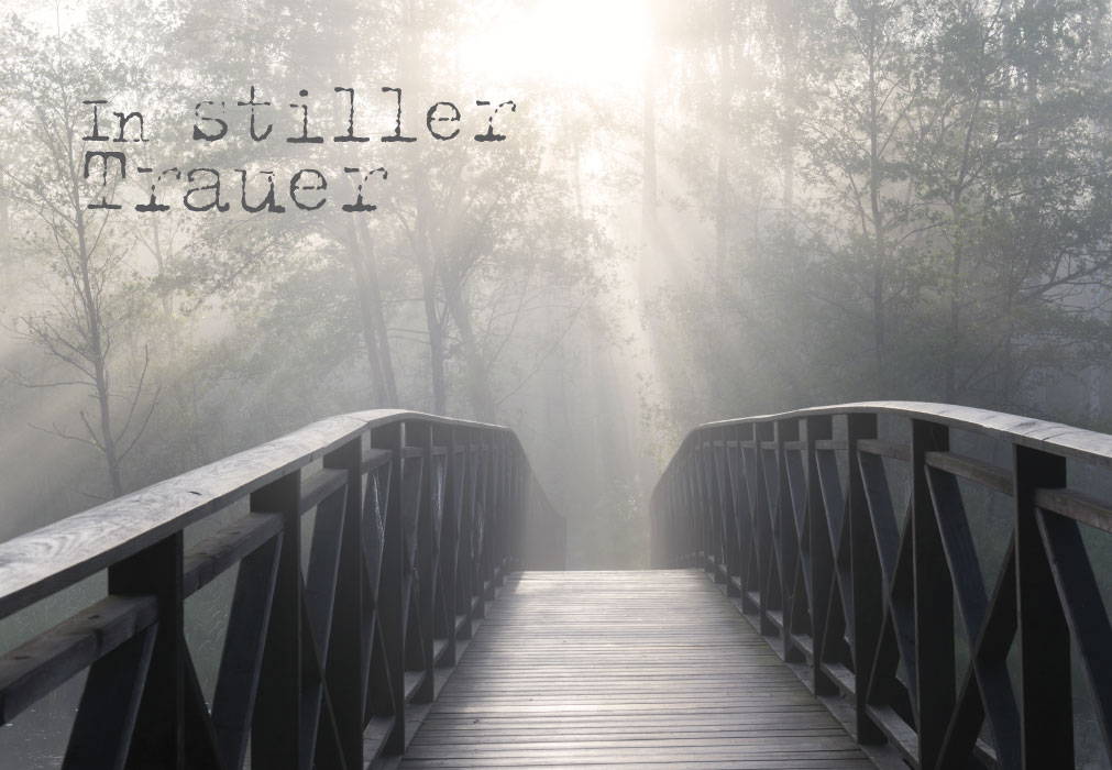 Trauer - Brücke, Nebel, Sonnenlicht