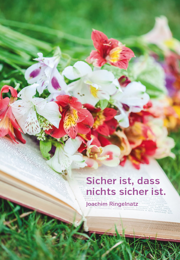 Gedanken - offenes Buch, Blumen, Wiese