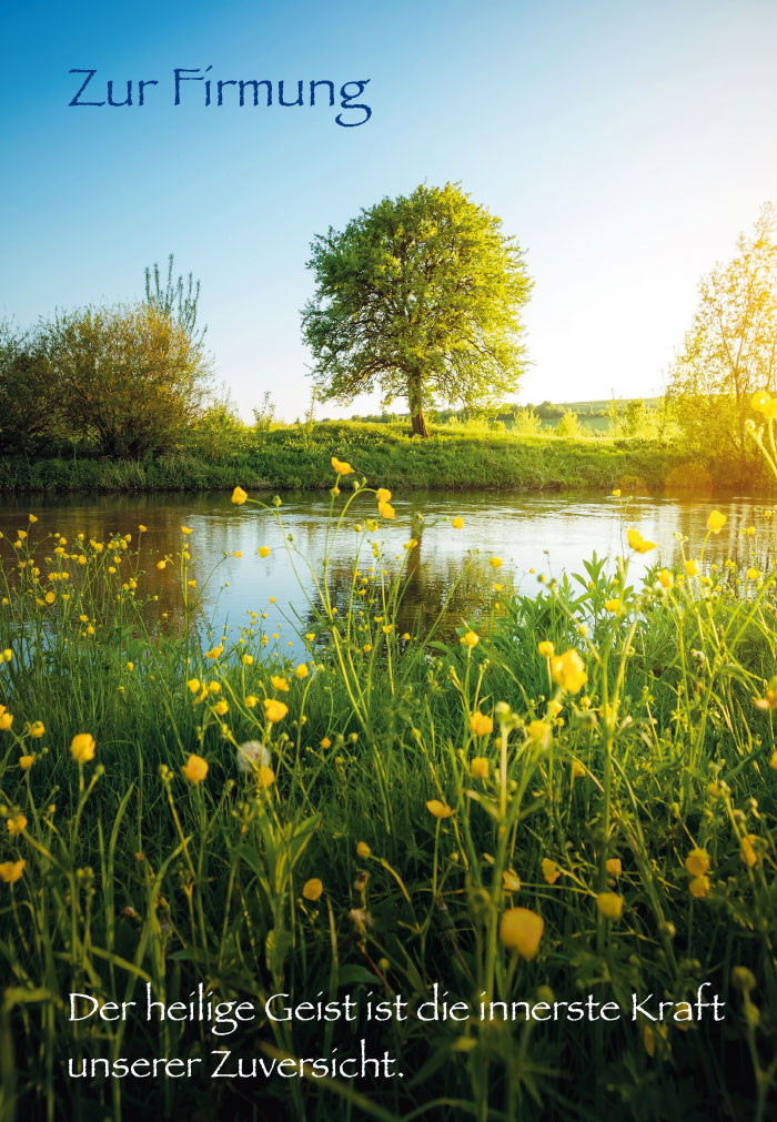 Firmung - Blumenwiese an Weier im Sonnenlicht